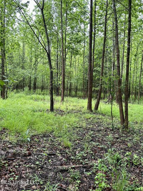 Mcclyde Road, Como, MS 38619