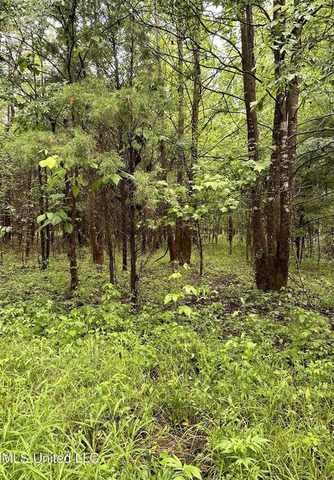 Mcclyde Road, Como, MS 38619 photo 2
