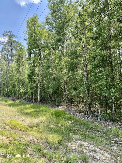 4315 Hwy 43 N, Picayune, MS 39466