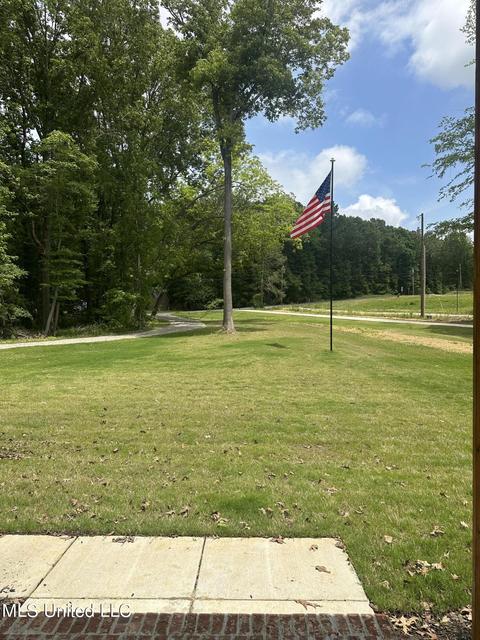 3649 Myrtlewood Dr, Hernando, MS 38632 photo 35