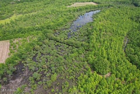 Squrrel Lake Road, Sledge, MS 38670