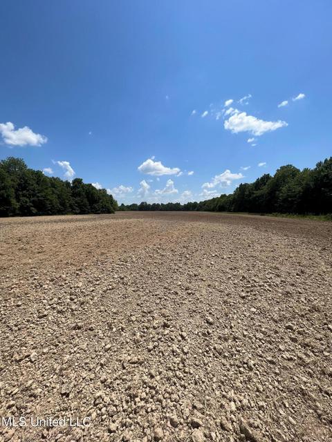 2145 Byars Rd, Charleston, MS 38921 photo 8