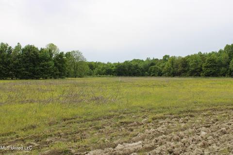 2145 Byars Rd, Charleston, MS 38921 photo 24