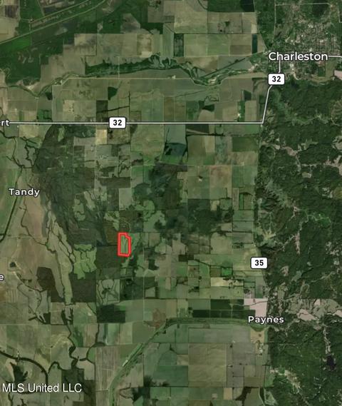 2145 Byars Rd, Charleston, MS 38921 photo 2