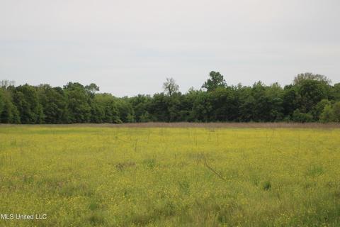 2145 Byars Rd, Charleston, MS 38921 photo 19