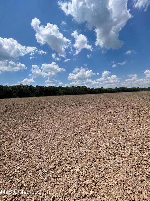 2145 Byars Rd, Charleston, MS 38921 photo 9