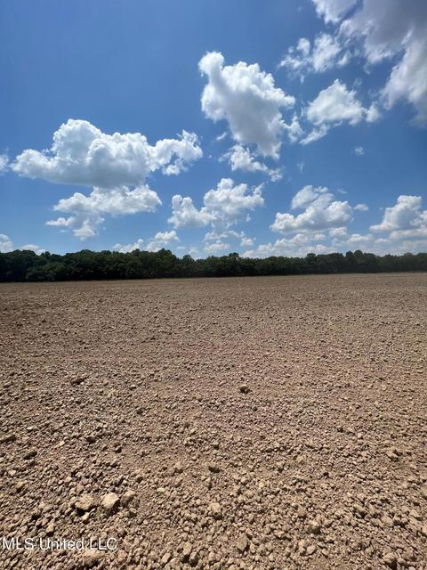 2145 Byars Rd, Charleston, MS 38921 photo 10