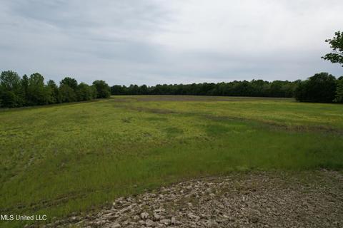 2145 Byars Rd, Charleston, MS 38921 photo 14