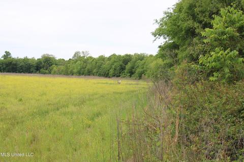 2145 Byars Rd, Charleston, MS 38921 photo 30