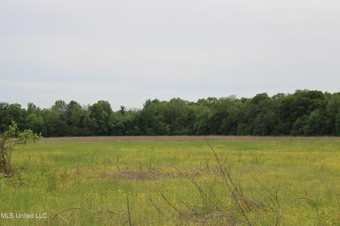 2145 Byars Rd, Charleston, MS 38921 photo 25