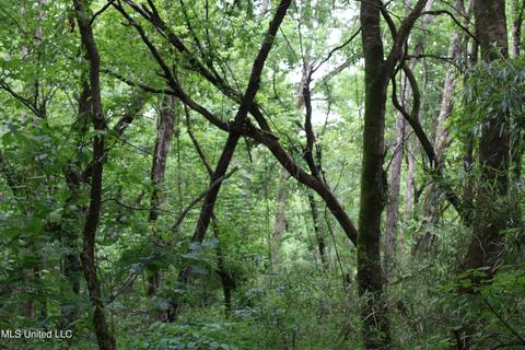 2900 Springfield Rd, Senatobia, MS 38668 photo 25