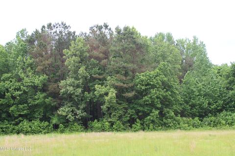 2900 Springfield Rd, Senatobia, MS 38668 photo 14