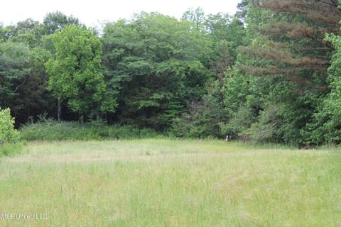 2900 Springfield Rd, Senatobia, MS 38668 photo 34