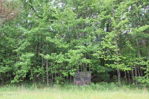 2900 Springfield Rd, Senatobia, MS 38668 photo 35
