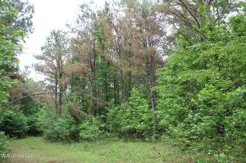 2900 Springfield Rd, Senatobia, MS 38668 photo 45