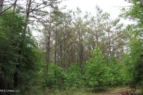 2900 Springfield Rd, Senatobia, MS 38668 photo 43