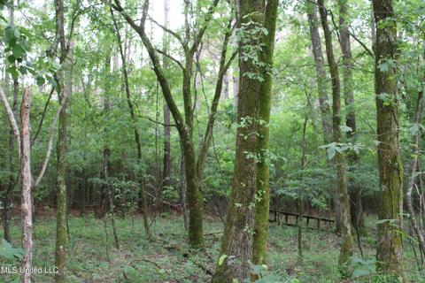 2900 Springfield Rd, Senatobia, MS 38668 photo 39