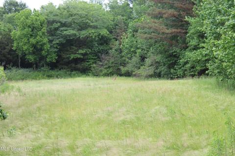 2900 Springfield Rd, Senatobia, MS 38668 photo 33
