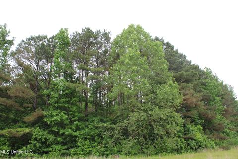 2900 Springfield Rd, Senatobia, MS 38668 photo 30