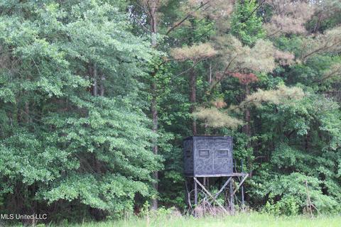 2900 Springfield Rd, Senatobia, MS 38668 photo 13