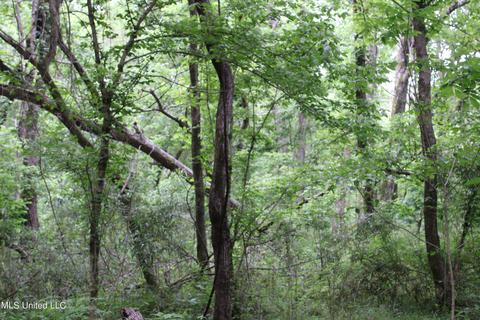 2900 Springfield Rd, Senatobia, MS 38668 photo 26