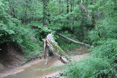 2900 Springfield Rd, Senatobia, MS 38668 photo 21