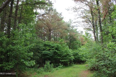 2900 Springfield Rd, Senatobia, MS 38668 photo 8