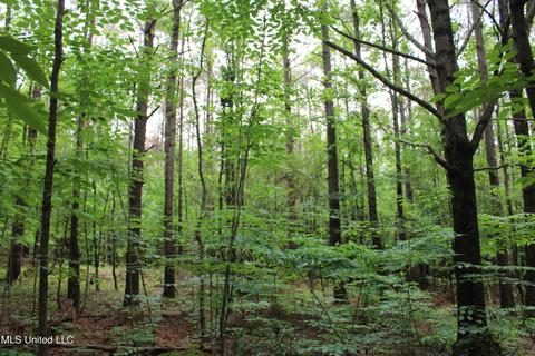 2900 Springfield Rd, Senatobia, MS 38668 photo 9