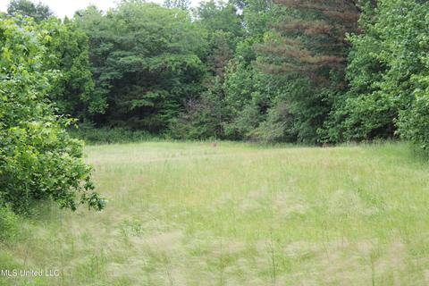 2900 Springfield Rd, Senatobia, MS 38668 photo 32