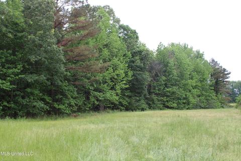 2900 Springfield Rd, Senatobia, MS 38668 photo 36
