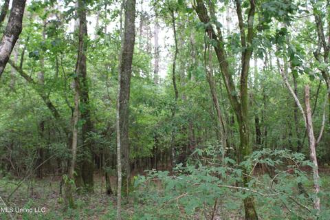 2900 Springfield Rd, Senatobia, MS 38668 photo 38