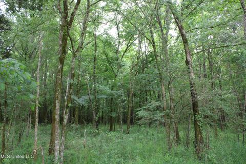 2900 Springfield Rd, Senatobia, MS 38668 photo 41
