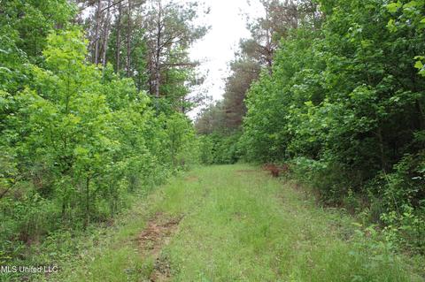 2900 Springfield Rd, Senatobia, MS 38668 photo 47