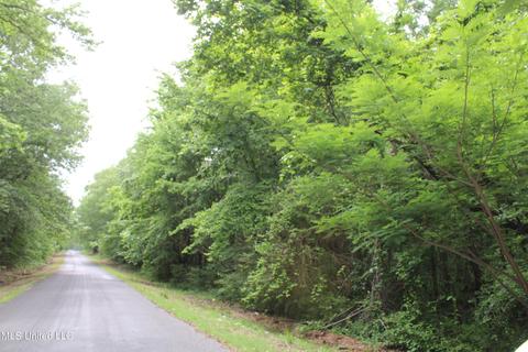 2900 Springfield Rd, Senatobia, MS 38668 photo 2