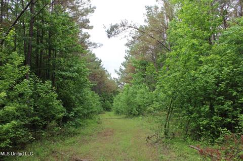 2900 Springfield Rd, Senatobia, MS 38668 photo 46