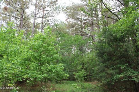 2900 Springfield Rd, Senatobia, MS 38668 photo 44