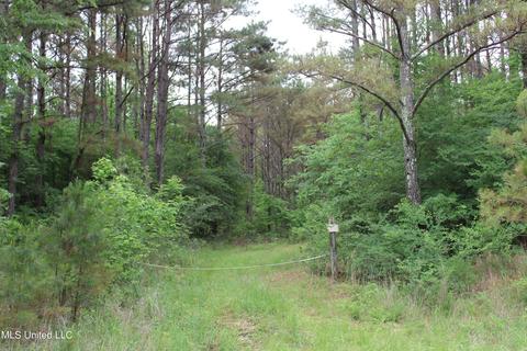 2900 Springfield Rd, Senatobia, MS 38668 photo 6