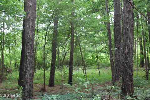 2900 Springfield Rd, Senatobia, MS 38668 photo 24
