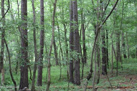 2900 Springfield Rd, Senatobia, MS 38668 photo 19