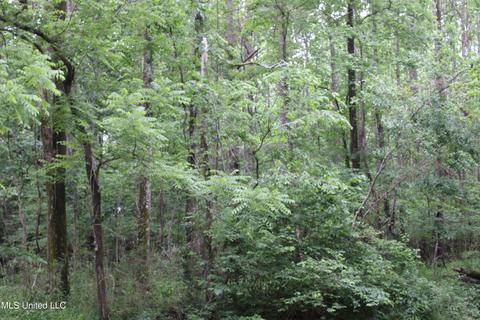 2900 Springfield Rd, Senatobia, MS 38668 photo 22