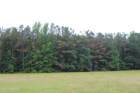 2900 Springfield Rd, Senatobia, MS 38668 photo 27