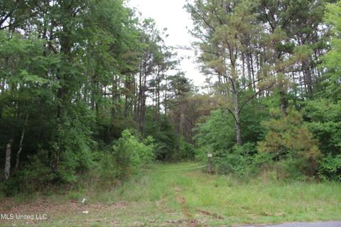 2900 Springfield Rd, Senatobia, MS 38668 photo 4