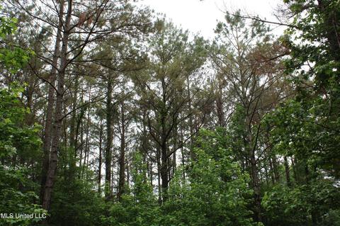 2900 Springfield Rd, Senatobia, MS 38668 photo 48