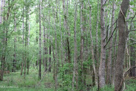 2900 Springfield Rd, Senatobia, MS 38668 photo 17