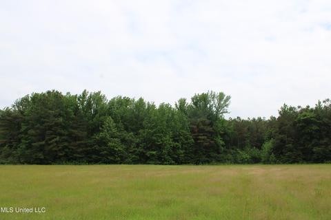 2900 Springfield Rd, Senatobia, MS 38668 photo 31