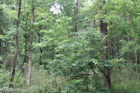2900 Springfield Rd, Senatobia, MS 38668 photo 23