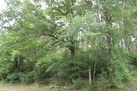 2900 Springfield Rd, Senatobia, MS 38668 photo 5