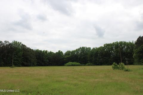 2900 Springfield Rd, Senatobia, MS 38668 photo 29