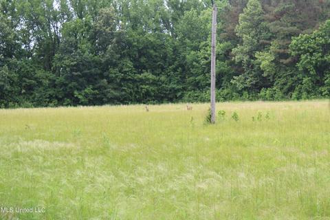 2900 Springfield Rd, Senatobia, MS 38668 photo 10