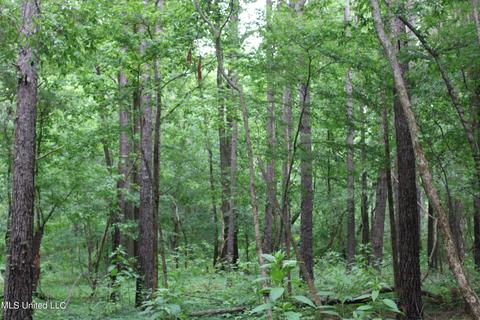 2900 Springfield Rd, Senatobia, MS 38668 photo 20